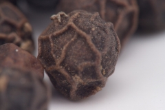 Black pepper grains in high res macro