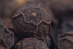 Black pepper grains in high res macro