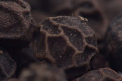 Black pepper grains in high res macro