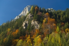 Autumn colors near Eisenerz