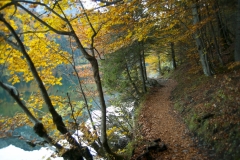 Path next to Leopoldsteinersee