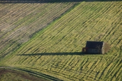 Lonesome in the fields