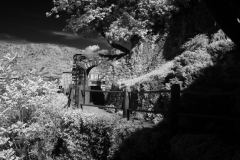 Door in the old wall with 720nm IR filter