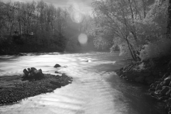 DSC09924_SW