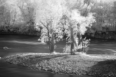 DSC09925_SW