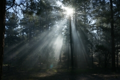 Good morning Grand Canyon