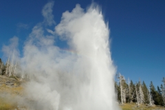 Grant Geyser in full eruption
