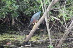 Waiting for the fish...