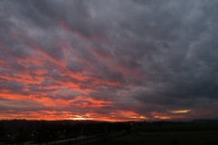 IMG_20191207_160909_resize