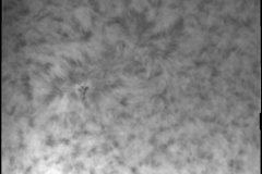 Sun_100151_Ha_Sun_g4_ap67_Resample20_conv_Levels