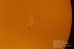 2020-11-08-Sunspot-Region-12781-@-1321-wavelets-levels-colorized-label