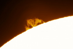 Prominence-2020-11-22-12_02_50UTC