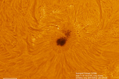 2020-11-30-11_18_50-Sunspot-Group-12786