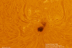 2020-11-30-11_33_11-Sunspot-Group-12786