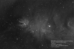 NGC2264-2021-02-1214-15x600s-Ha-QHY183M@-30C-564mm