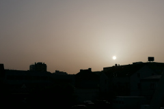 IMG_20210224_072859