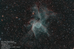 NGC-2359-2024-01-TS256-QHY268M-@-10C-G30-O15-L-116x60s-RGB-241818x120s-Ha-30x600s-Oiii-24x600s-NBRGB-PCC-MStretch-Curves-ACDNR-50