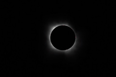Eclipsed sun - inner corona