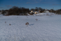 Fresh layer of snow on Suomenlinna