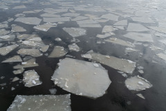 Ice floes in Kronbergsfjarden, Helsinki
