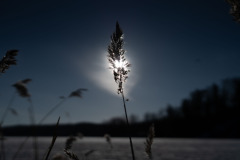 Low winter sun at Nuuksion Pitkajarvi