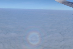 Airplane glory at descent into clouds