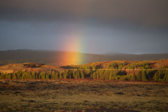 Rainbow at sunset