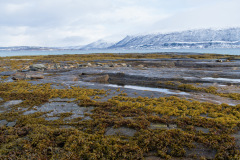 Tromso_20260306-110051_DSC00614_resize