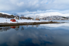 Tromso_20260311-121652_DSC02326_resize