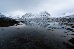 Tromso_20260313-133659_DSC04963_resize