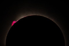 Large prominence especially well visible at start of totality